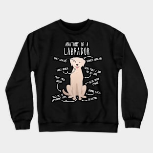 Yellow Labrador Retriever Dog Anatomy Crewneck Sweatshirt